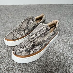 New with box | Ccocci Dream shoe